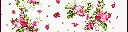 A-005.webp